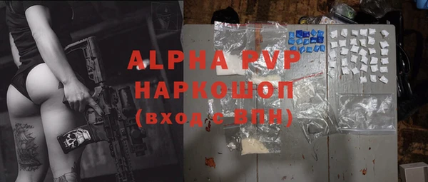 PSILOCYBIN Вязники