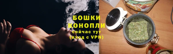 PSILOCYBIN Вязники
