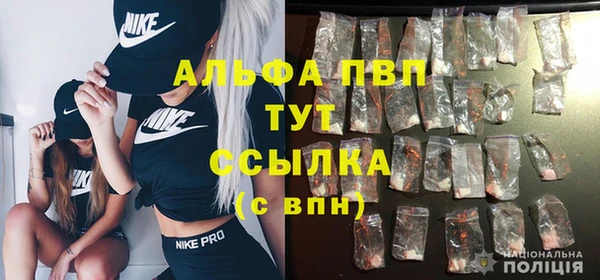 PSILOCYBIN Вязники