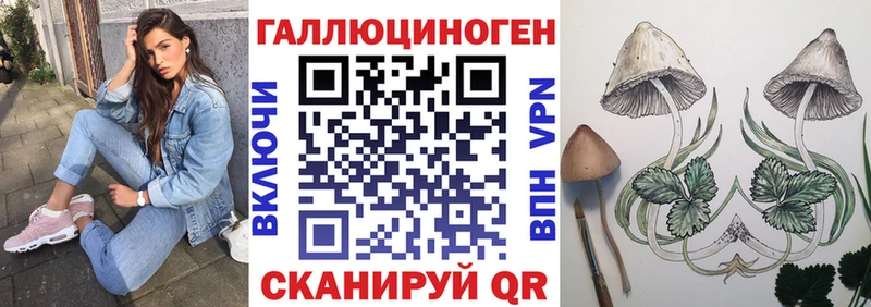 Галлюциногенные грибы мицелий  Купить закладки  Аргун 
